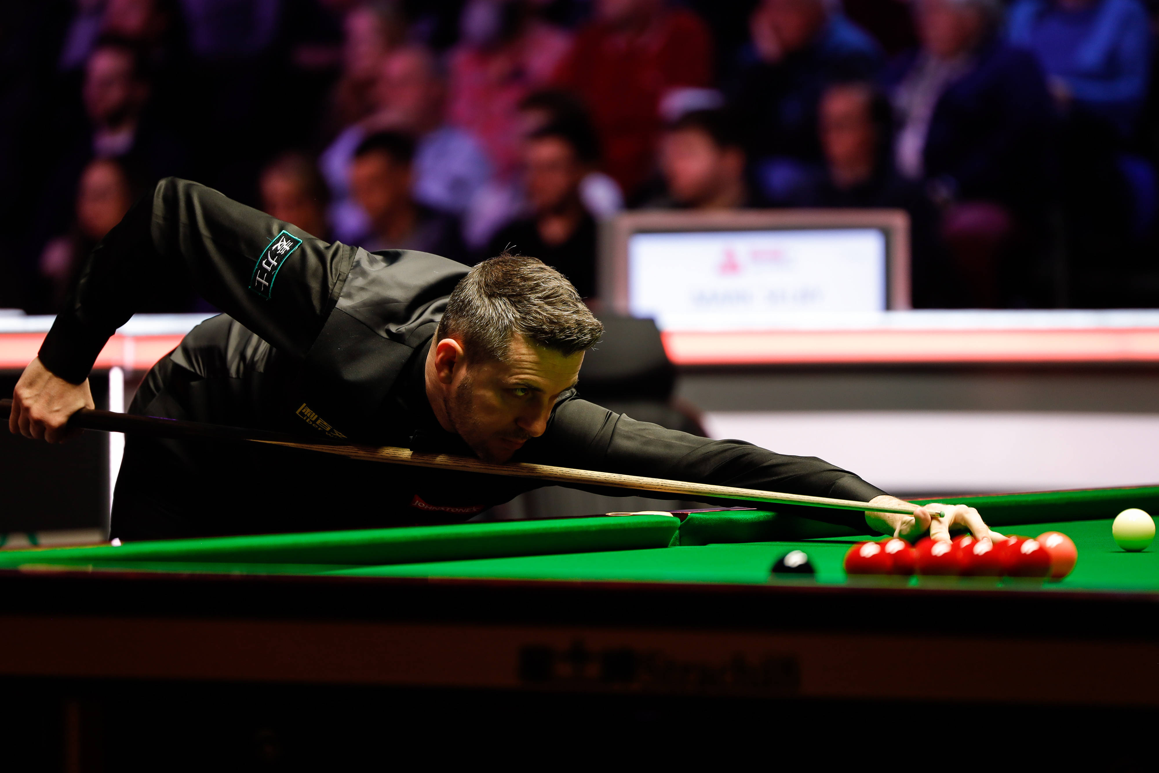 就以稳健的 就以稳健的