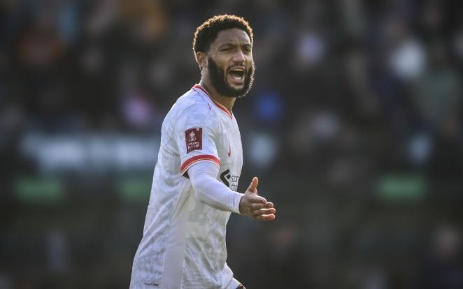 但全场绿军 但全场绿军