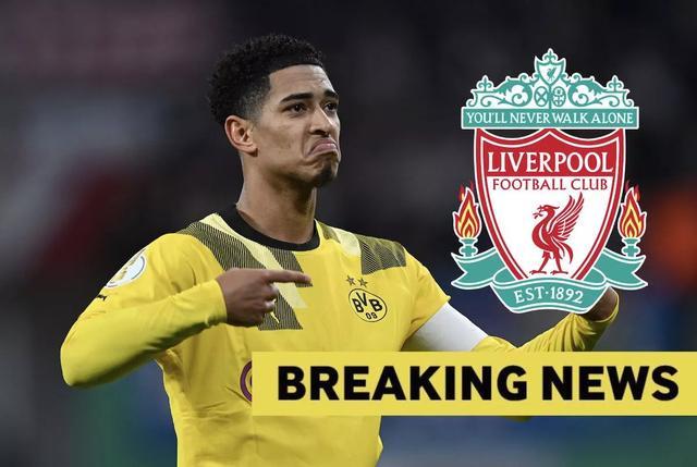 龙坑外斜切 龙坑外斜切